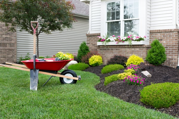 Landscaping your yard 