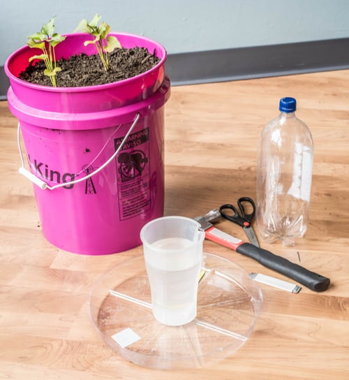 Drip Water System for Container Gardening